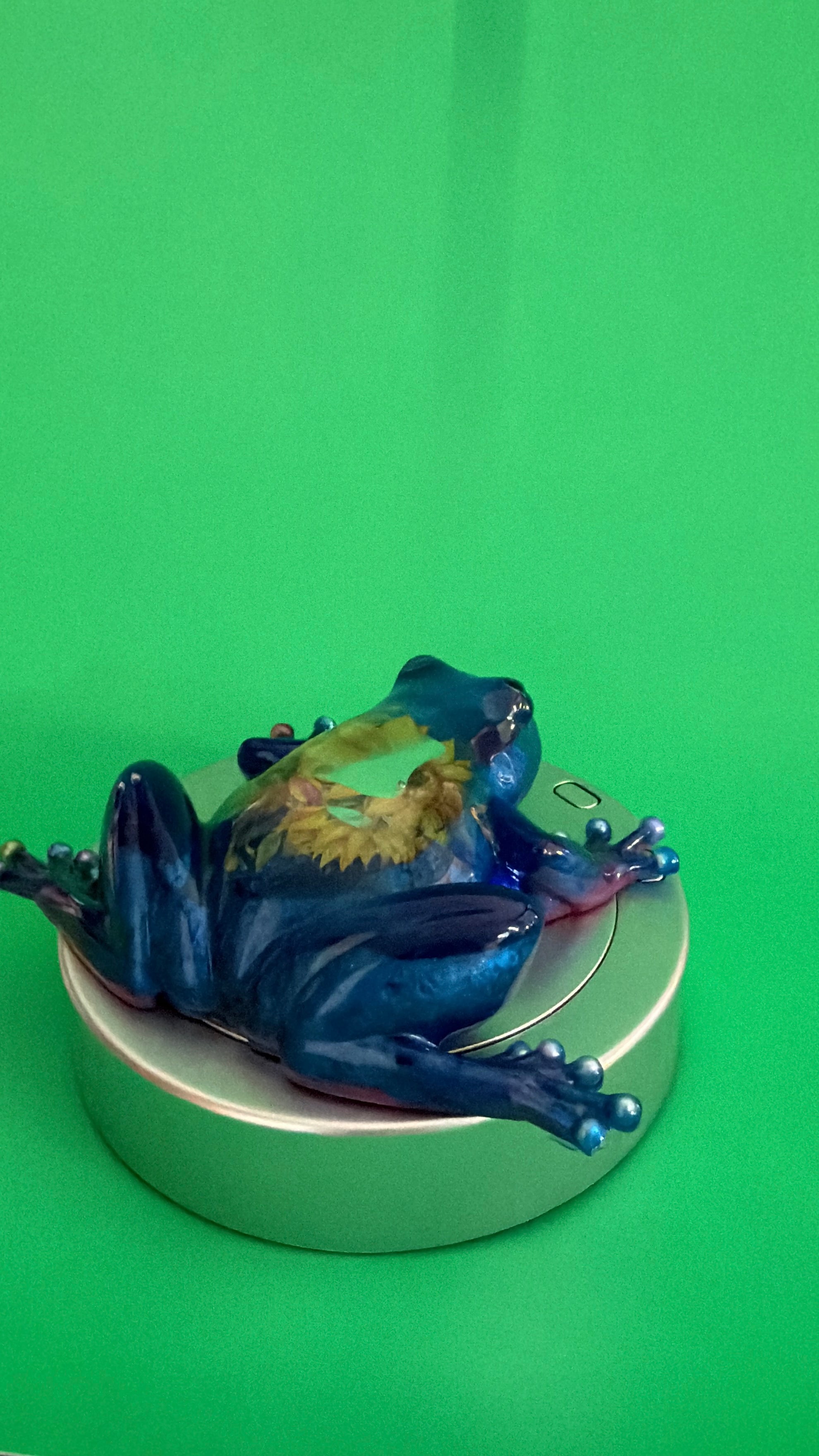 Ocean Dream Resin Frog Sculpture
