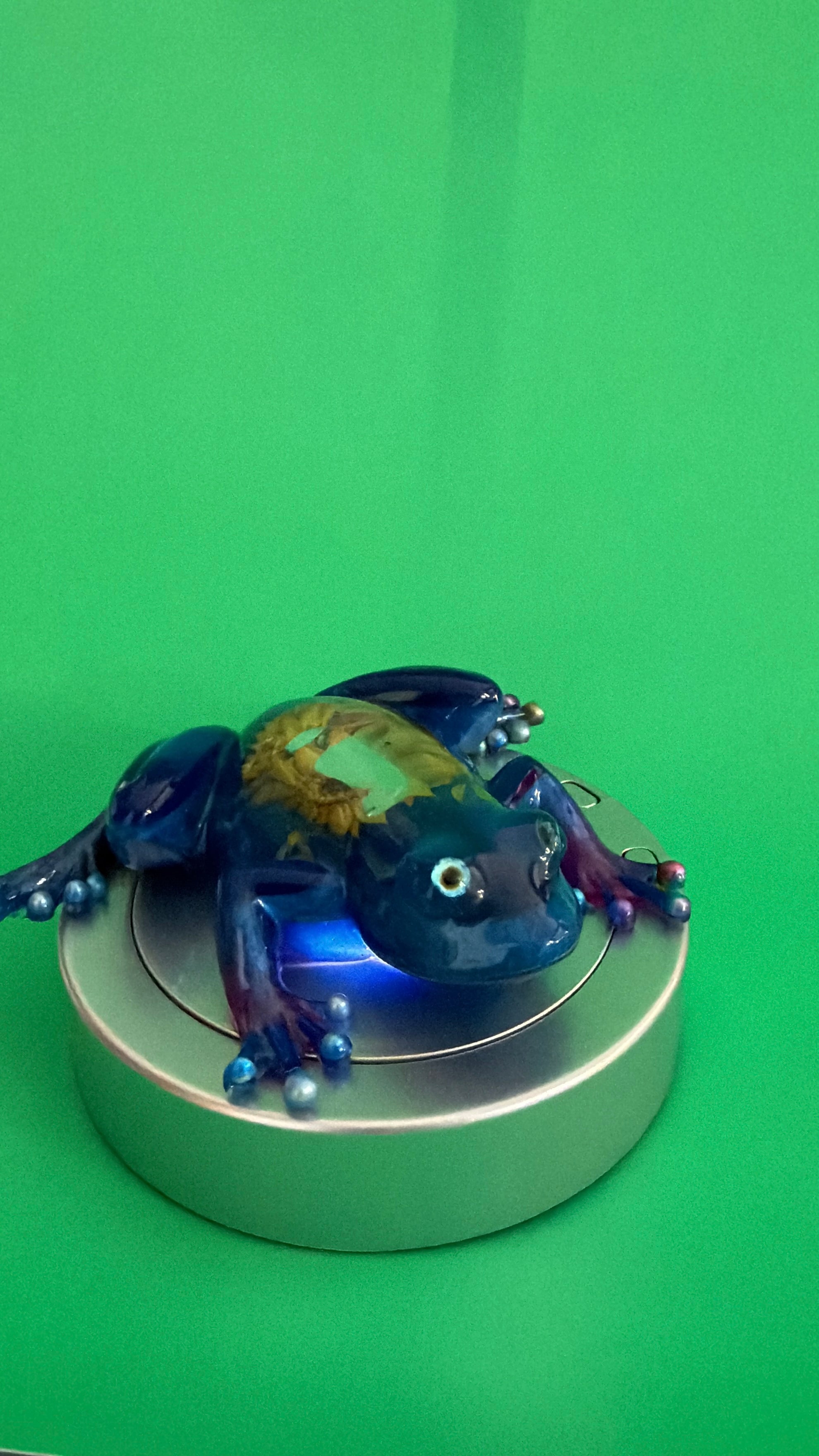 Ocean Dream Resin Frog Sculpture