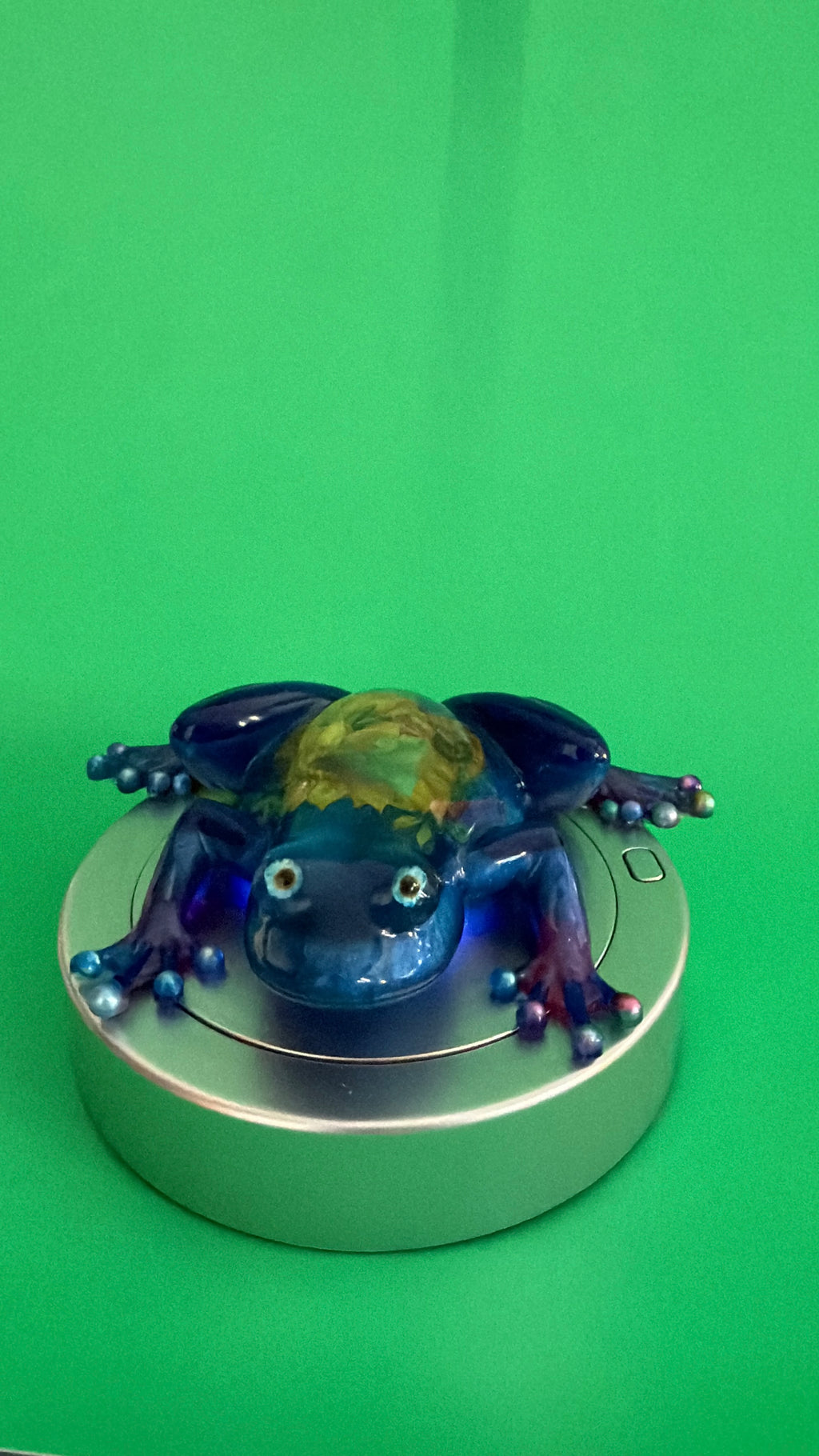 Ocean Dream Resin Frog Sculpture